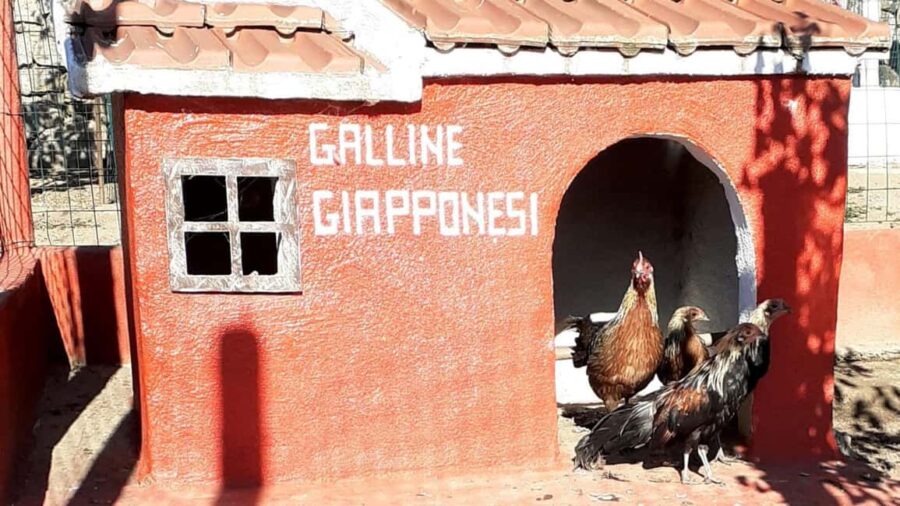 Burgos: visit to a farm with tasting - Location and How to Find the Farm in Burgos