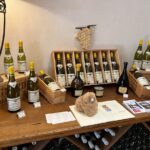 Burgundy Wine & Cheese Tasting Private Day Trip 15 glasses - Exploring the Historic City of Beaune