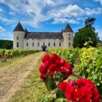 Burgundy wine tasting at Château de Savigny-lès-Beaune - The Château’s Historic Cellars and Architecture