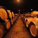 Burgundy Wines Full-Day Tasting Tour from Dijon - Logistics and Group Experience