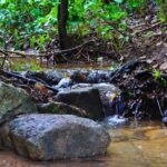 Buskett Woodlands and Dingli Cliffs Nature Walking Private Tour - Visit the Green Heart of Malta at Buskett Gardens