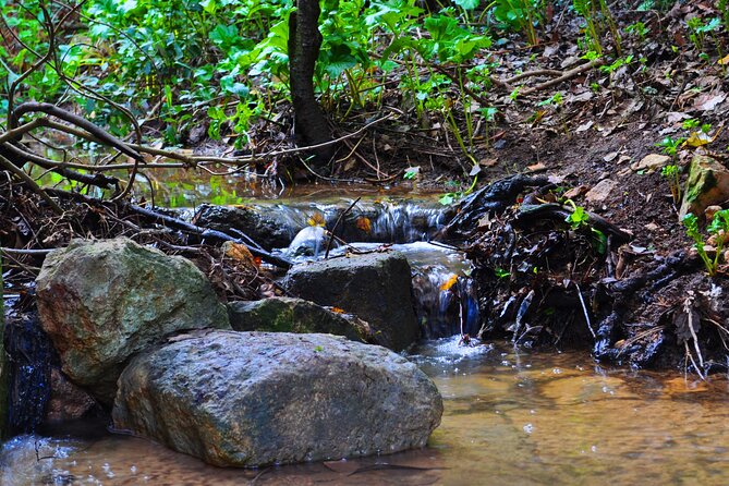 Buskett Woodlands and Dingli Cliffs Nature Walking Private Tour - Visit the Green Heart of Malta at Buskett Gardens