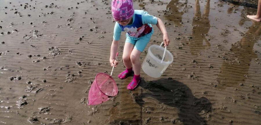 Butjadingen: Guided mudflat hike in the World Heritage Site - What Youll Discover in the Tidal Landscape