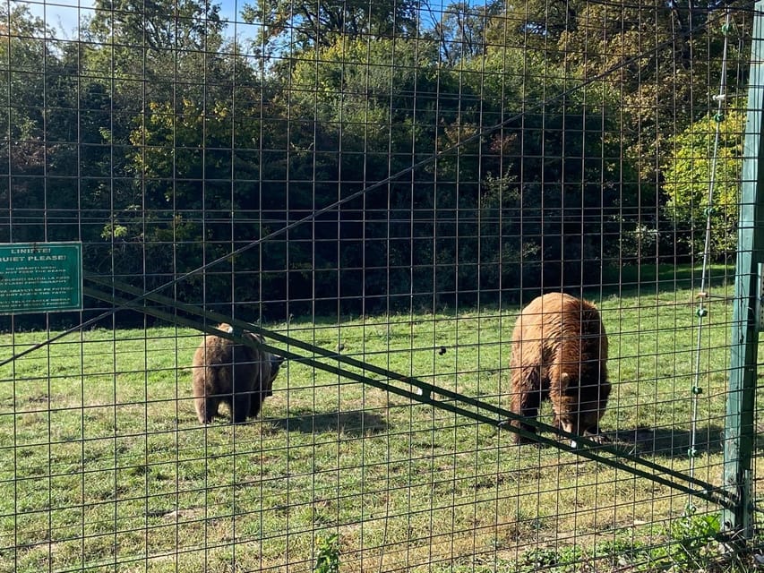 BV05-Private Hiking Tour and Bear Watching: Piatra Craiului - Starting from Brașov for a Scenic Drive to Zărnești