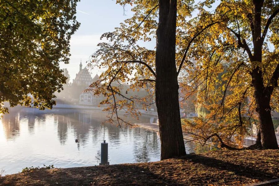Bydgoszcz: Old Town Guided Walking Tour - The Guide: Knowledgeable and Friendly