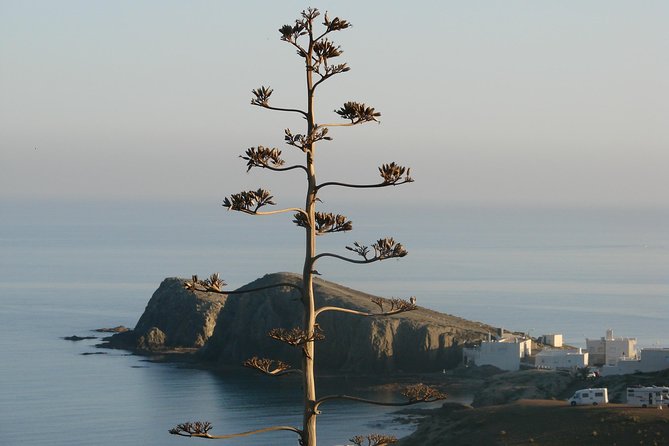 Cabo de Gata Natural Park from Roquetas, Aguadulce & Almeria - Visiting the Iconic Lighthouse of Cabo de Gata and Sirens Cliffs