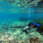 Cabo de Gata: Natural Park Kayaking and Snorkel Excursion - Starting in the Natural Park with a Safety Briefing