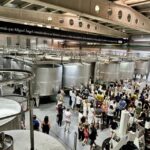 Cáceres: Bodegas Habla - Inside and Outside: The Classic HABLA Winery Tour