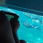 Cadaqués Tour 1 hour stop and Super Vision underwater - Underwater Vision on a Glass-Bottomed Catamaran