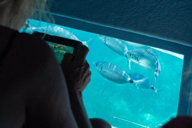 Cadaqués Tour 1 hour stop and Super Vision underwater - Underwater Vision on a Glass-Bottomed Catamaran
