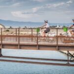 Cagliari E-Bike Tour: Canals & Flamingos at Molentargius - Starting Point at the Innoi Sardinia Tourist Information Center