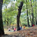 Cagliari: forest bathing at Sette Fratelli Park - A Deep Dive into Sette Fratelli Park and Forest Bathing