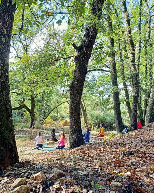 Cagliari: forest bathing at Sette Fratelli Park - A Deep Dive into Sette Fratelli Park and Forest Bathing
