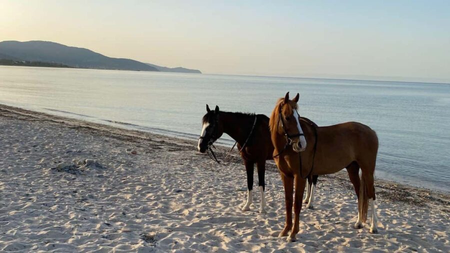 Cagliari: horseback riding with sunrise dive - The Scenic Setting of Flumini Beach