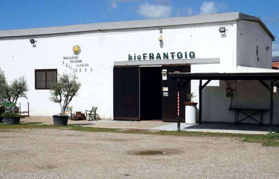 Cagliari Olive Oil Museum: Tours & Tasting a Dolianova - The Modern Oil Mill and Its Role in Sardinian Agriculture