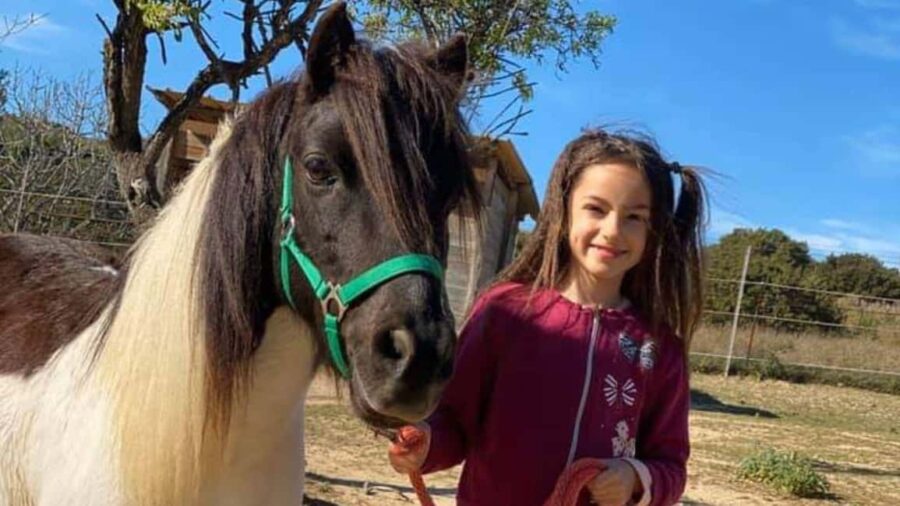 Cagliari: visit the animals of a farm - The Charm of Sardinian Farm Life in a Compact Tour