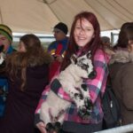 Caherconnell Fort & Sheepdog Demonstrations - The Sheepdog Demonstrations: A Show of Skill and Training