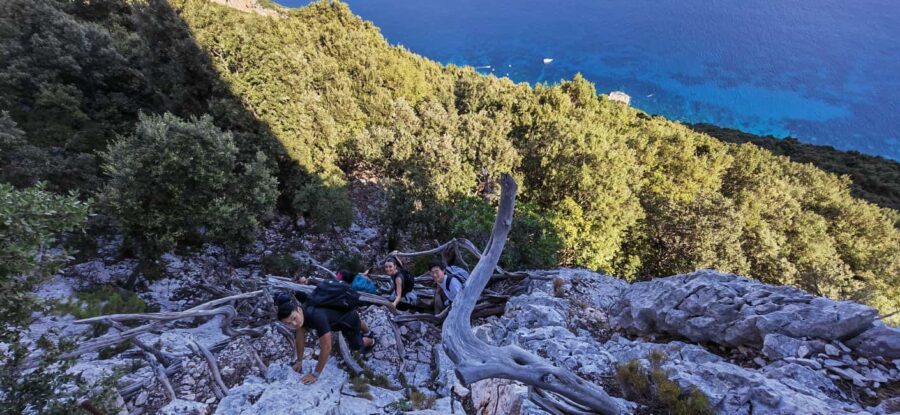 Cala Mariolu trekking - The Route to Cala Mariolu: From Old Paths to Spectacular Views