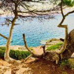Cala Millor: real treasure hunt in natural reserve, fun walk - Starting Point and Accessibility in Cala Millor