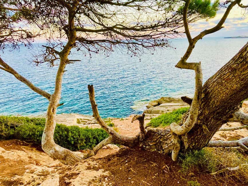 Cala Millor: real treasure hunt in natural reserve, fun walk - Starting Point and Accessibility in Cala Millor