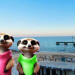 Cala Ratjada: Magical Creatures of Cala Ratjada, family walk - From the Old Town to the Seaside Streets