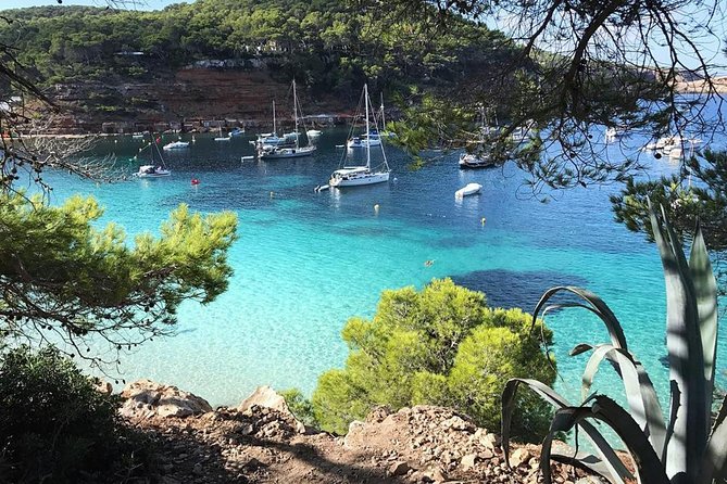 Cala Salada and Unspoiled North Beach Tour. Snorkelling and Aquarium - Docking at Cala Salada and the Traditional Paella Lunch