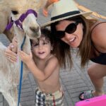 Calabrian Alpacas Sunset Beach Experiences Pizzo VV AlpacSelfies - Starting Point and Meeting Details in Pizzo