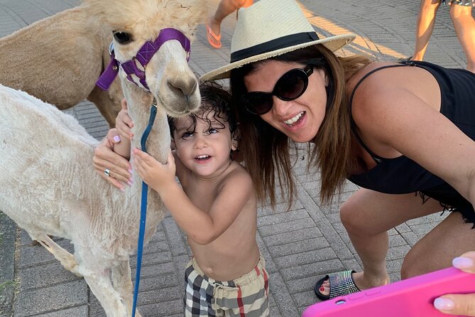 Calabrian Alpacas Sunset Beach Experiences Pizzo VV AlpacSelfies - Starting Point and Meeting Details in Pizzo