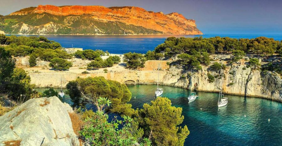 Calanques Of Cassis, the Village and Wine Tasting - Wine Tasting at a Premier Provence Vineyard
