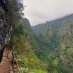Caldeirão Verde: Queimadas PR9 Transfer Hike - Madeiras Laurissilva Forest: A UNESCO World Heritage Treasure