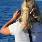 Calheta: Whale & dolphin watching small groups designer tour - Meeting Point and Booking Details at Marina da Calheta