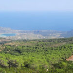 calice in cratere - Spectacular Views of Africa and Tunisia