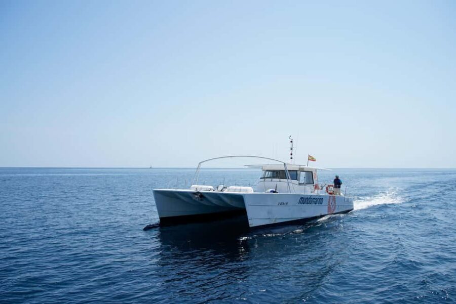 Calpe: Motor catamaran with a swim stop and optional lunch - Scenic Coastline of Calpe from the Sea