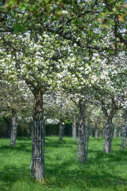 Calvados: the art of making Coquerel Calvados and Normindia Gin - Practical Details: Meeting Point and Tour Logistics