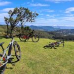 Camacha: Levada Trail e-Bike Guided Tour - Exploring the Old Bridges and Eucalyptus Forests