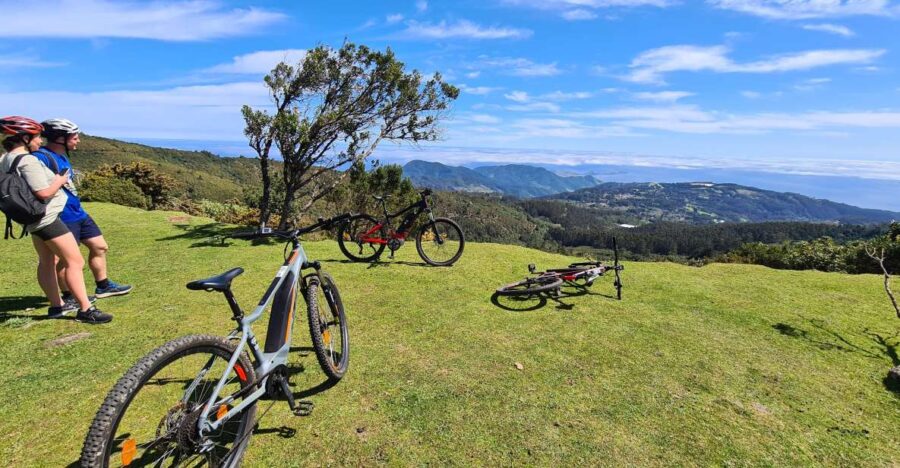 Camacha: Levada Trail e-Bike Guided Tour - Exploring the Old Bridges and Eucalyptus Forests