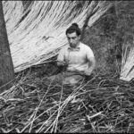 Camacha - The art of wickerwork - Discover Camacha’s Traditional Wickerwork Craftsmanship