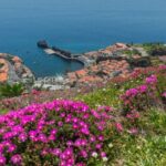 Câmara de Lobos: Private Fishing Village Tour by Tuk-Tuk - Starting from Funchal for a Scenic Drive Along Madeira’s Coastline