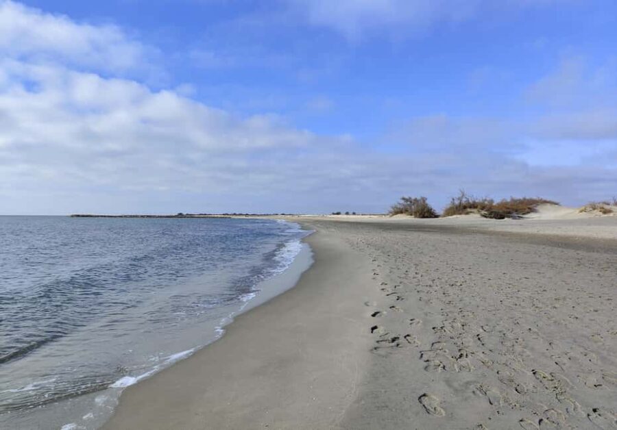 Camargue, its secrets and its magic: an exclusive tour - How the Tour Is Customized for Your Interests