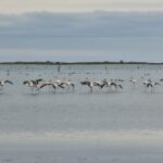 Camarles: Bike Rental - Starting Point and How to Rent a Bike in Camarles