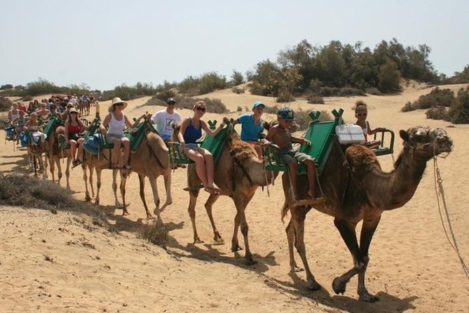 Camel Safari through the Dunes of Maspalomas - The 30-Minute Camel Ride Through the Dunes
