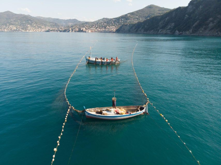 Camogli: Boat Tour on the trail of the Tonnarella - The Origins of the Tonnarella di Camogli and Its Preservation