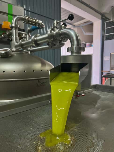 Campobello di Mazara: Bella Giornata Tour and Tasting - Who Will Enjoy This Tour Most?