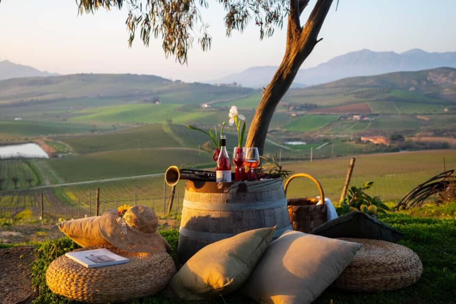 Camporeale: Sallier de La Tour Wine Discovery Tour - Exploring the Vineyards of the Upper Belice Valley