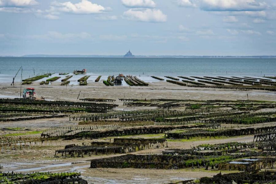 Cancale: Private Guided Walking Tour - Visiting Cancale’s Famed Oyster Beds and Cultivation Practices