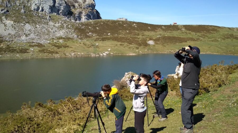 Cangas de Onís: Lakes of Covadonga Guided Tour - Visiting the Covadonga Lakes on a Guided Motorized Tour