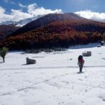 Cangas de Onís: Route in the Vegabaño Forest with lunch at a mountain refuge - Why This Tour Ranks Highly for Nature and Food Lovers