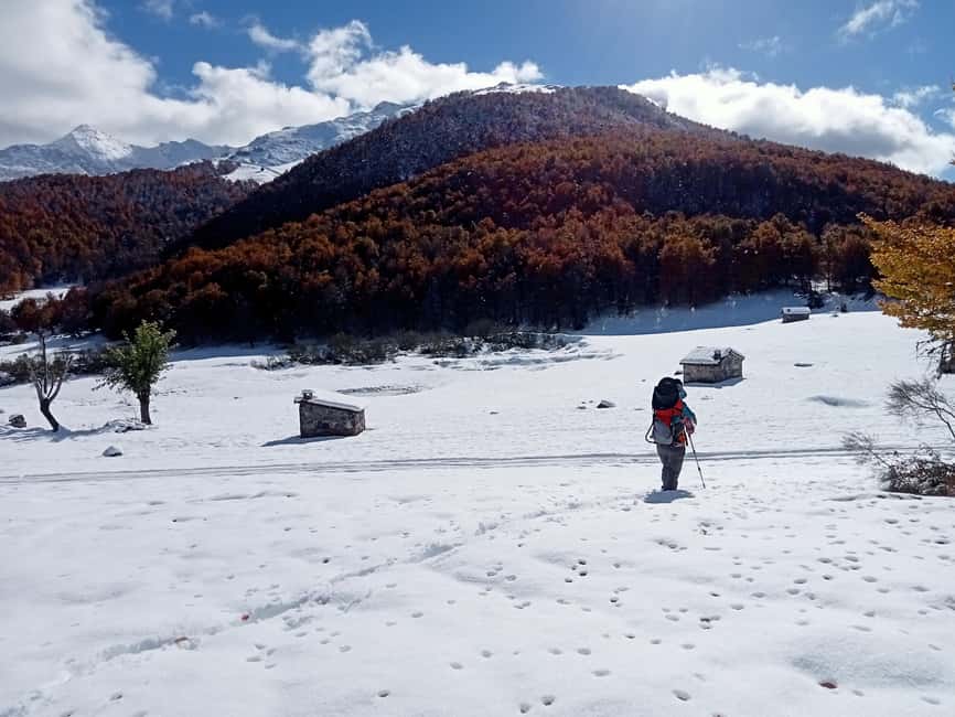Cangas de Onís: Route in the Vegabaño Forest with lunch at a mountain refuge - Why This Tour Ranks Highly for Nature and Food Lovers