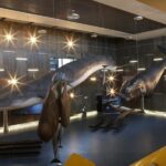 Caniçal : Madeira Whale Museum Entry ticket - Highlights of the Museum’s Exhibits and Interactive Features