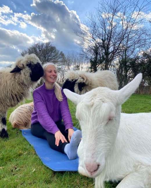 Canterbury: Yoga with Goats and Sheep - The Setting: Hawes Farm in South East England